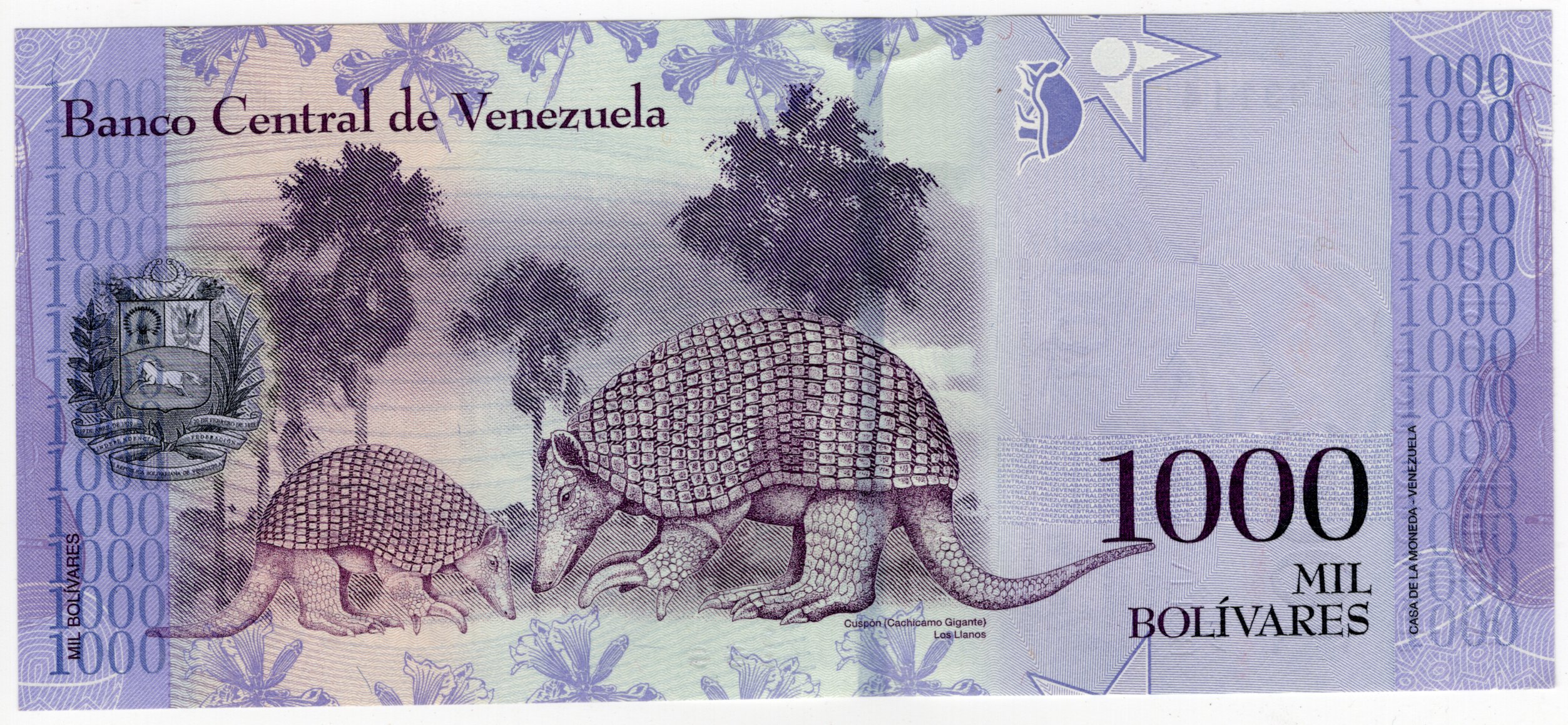 Bankovka 1000 Bolívares 2017, Venezuela, R 21293114