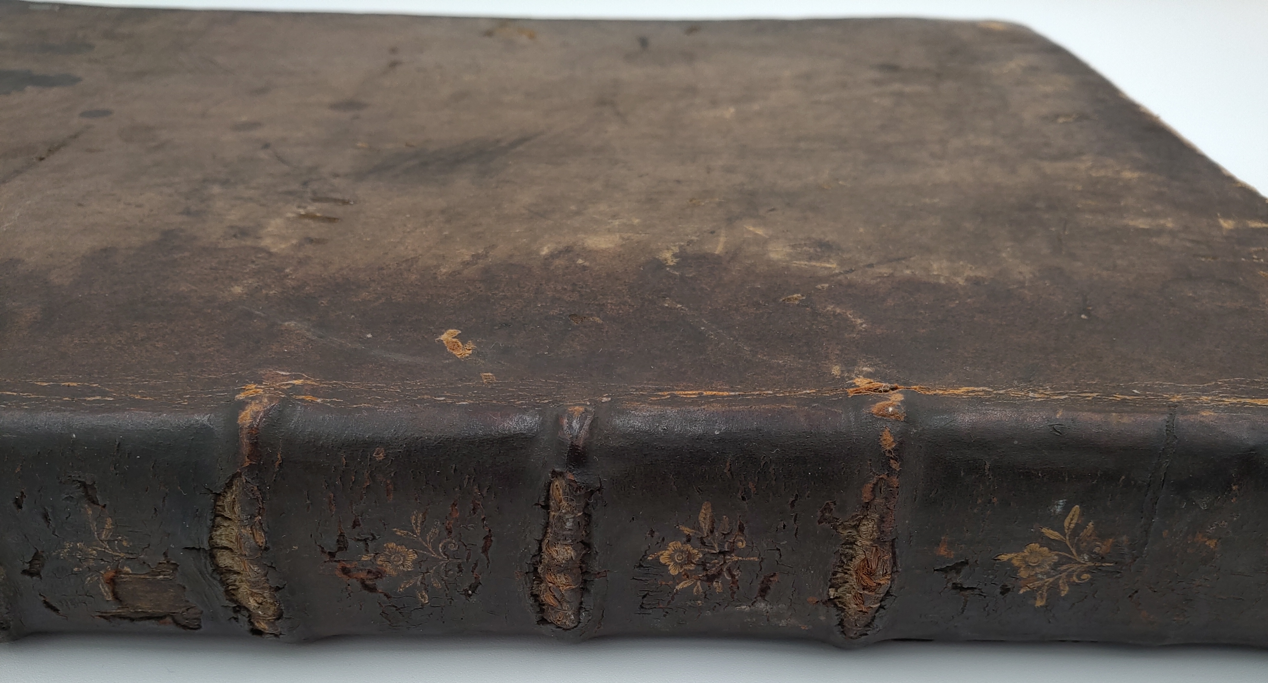 Kniha Septem Linguarum Calepinus Lexikon Latinum, Rok 1794