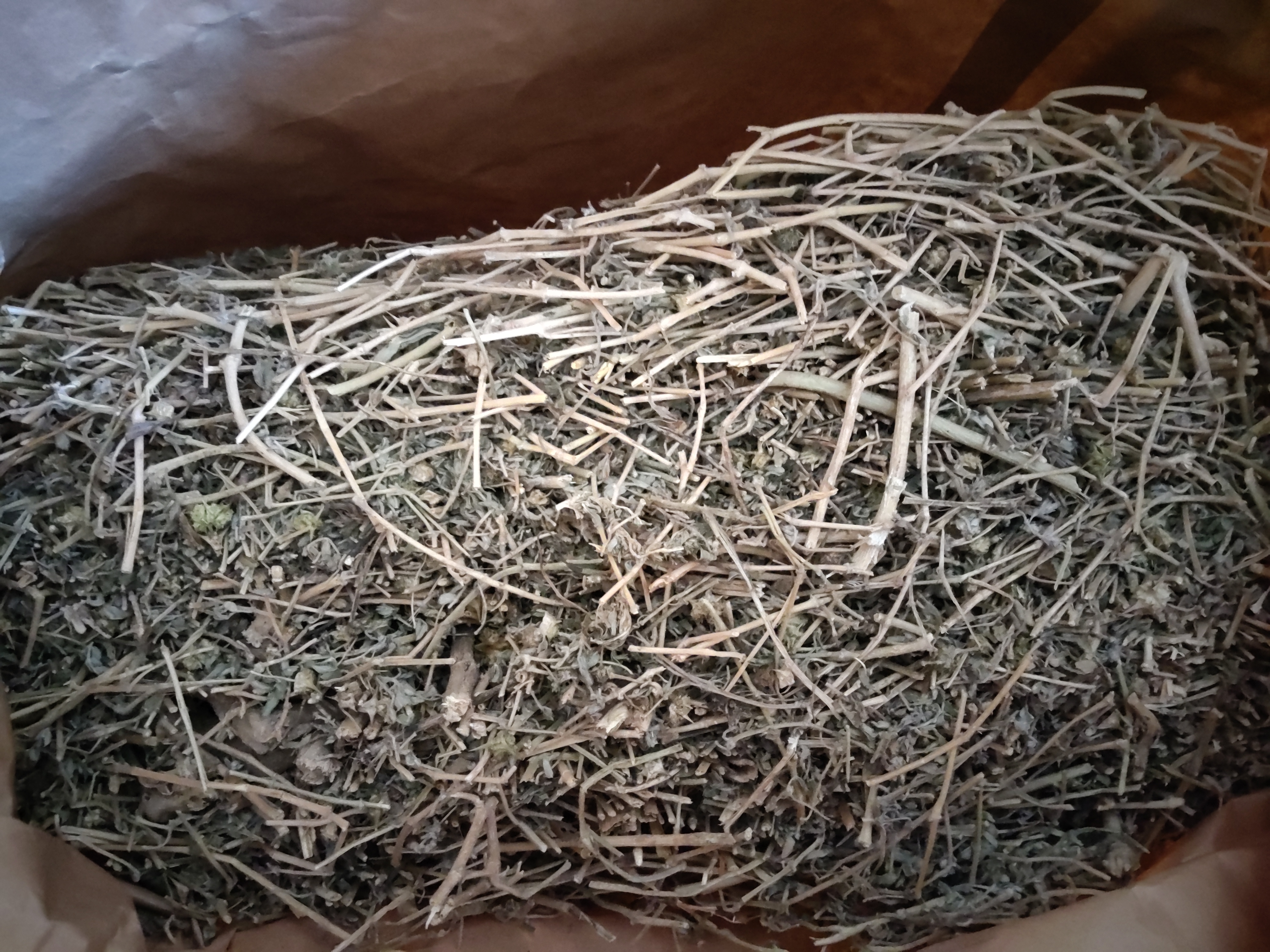 Kotvičník zemní včetně semínek, Celý 5 kg pytel z minulé úrody !