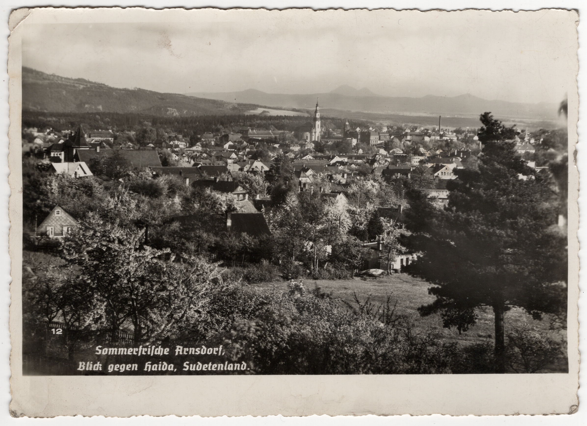 Stará Pohlednice HAIDA 15.8.1939 - Protektorát Nový bor