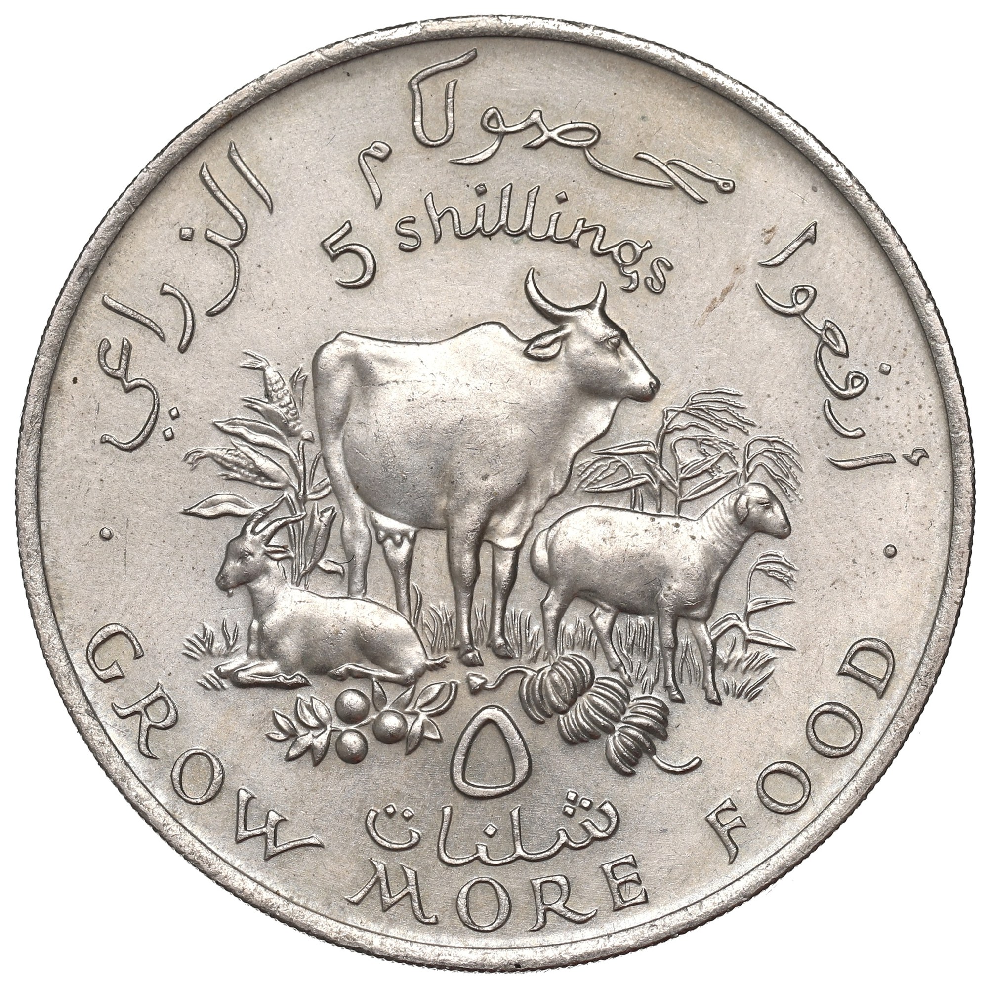 Mince 5 šilinků 1970,Somálsko č.4041