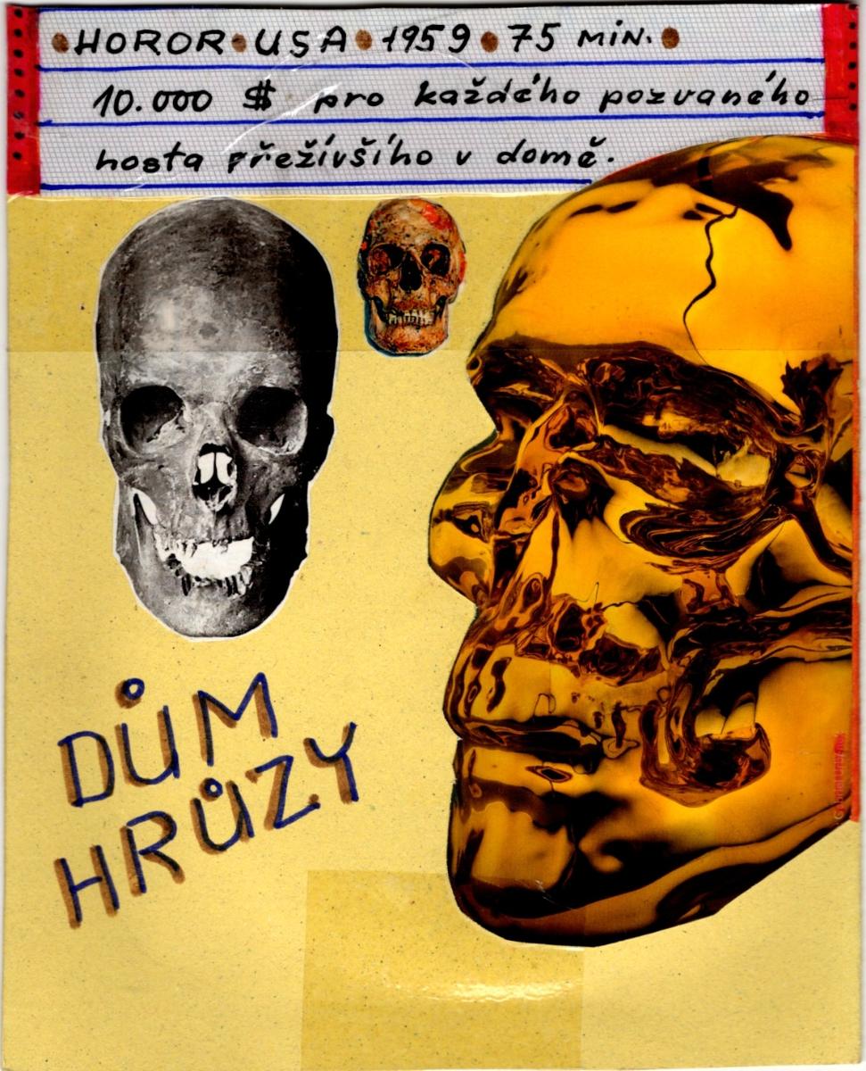 DVD DŮM HRŮZY