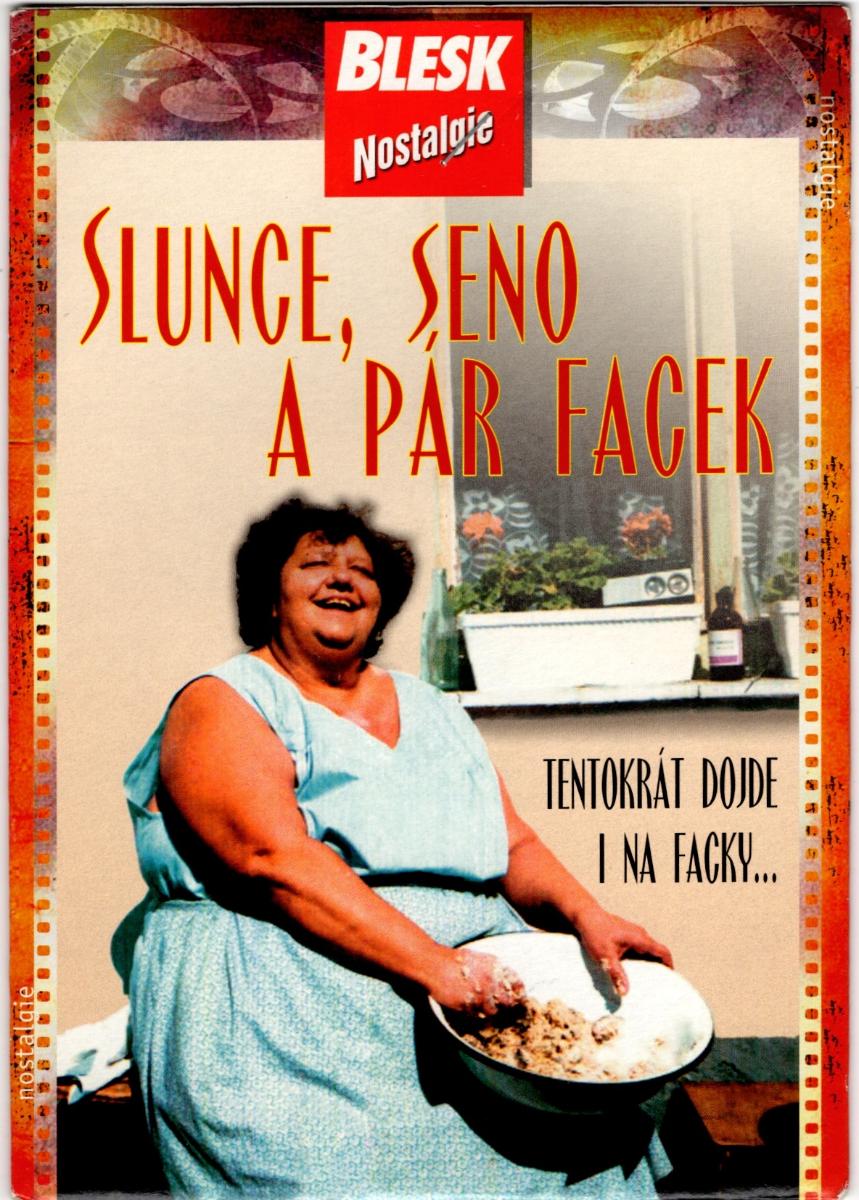 DVD Slunce, Seno a Pár Facek