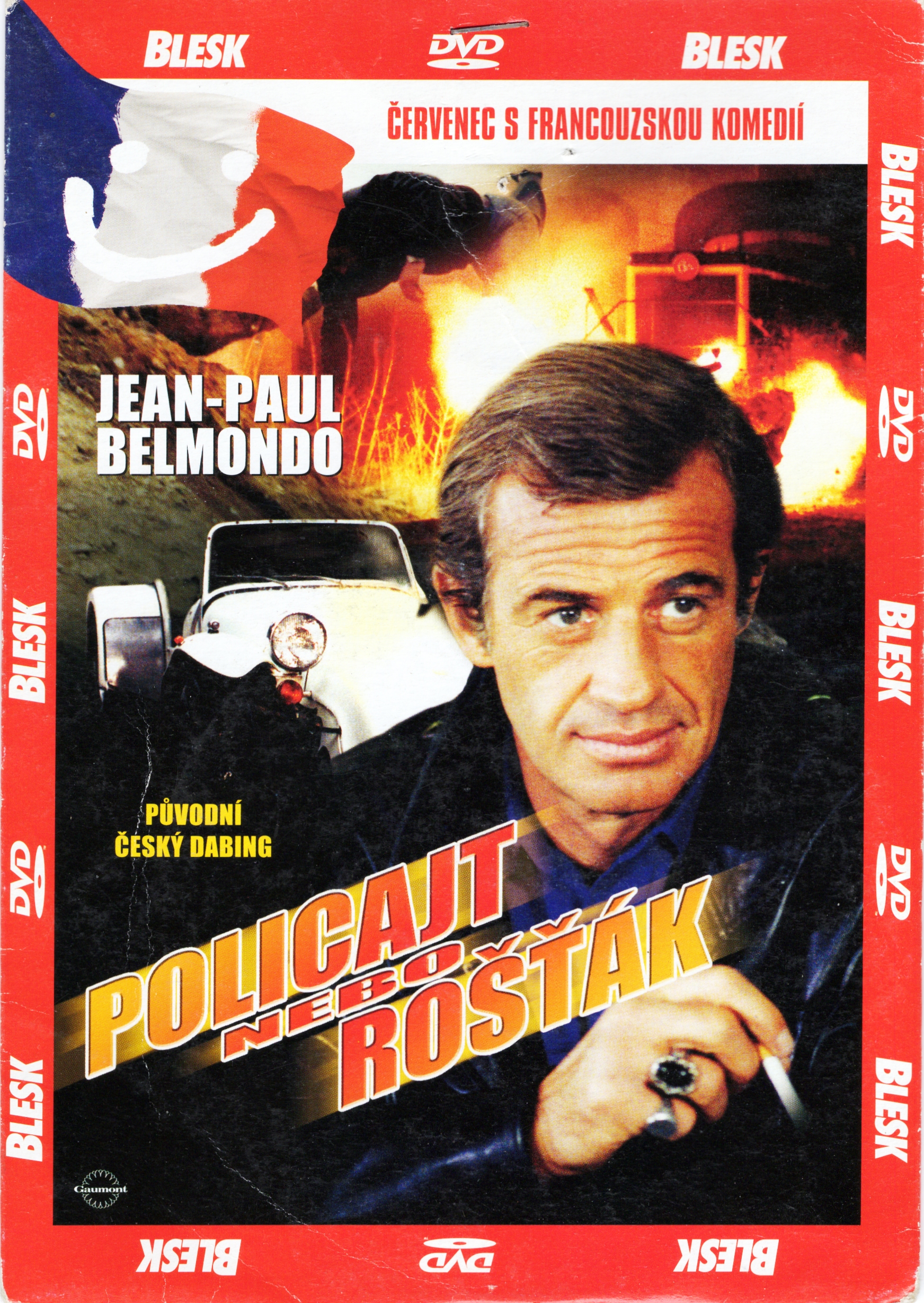 DVD Policajt nebo rošťák