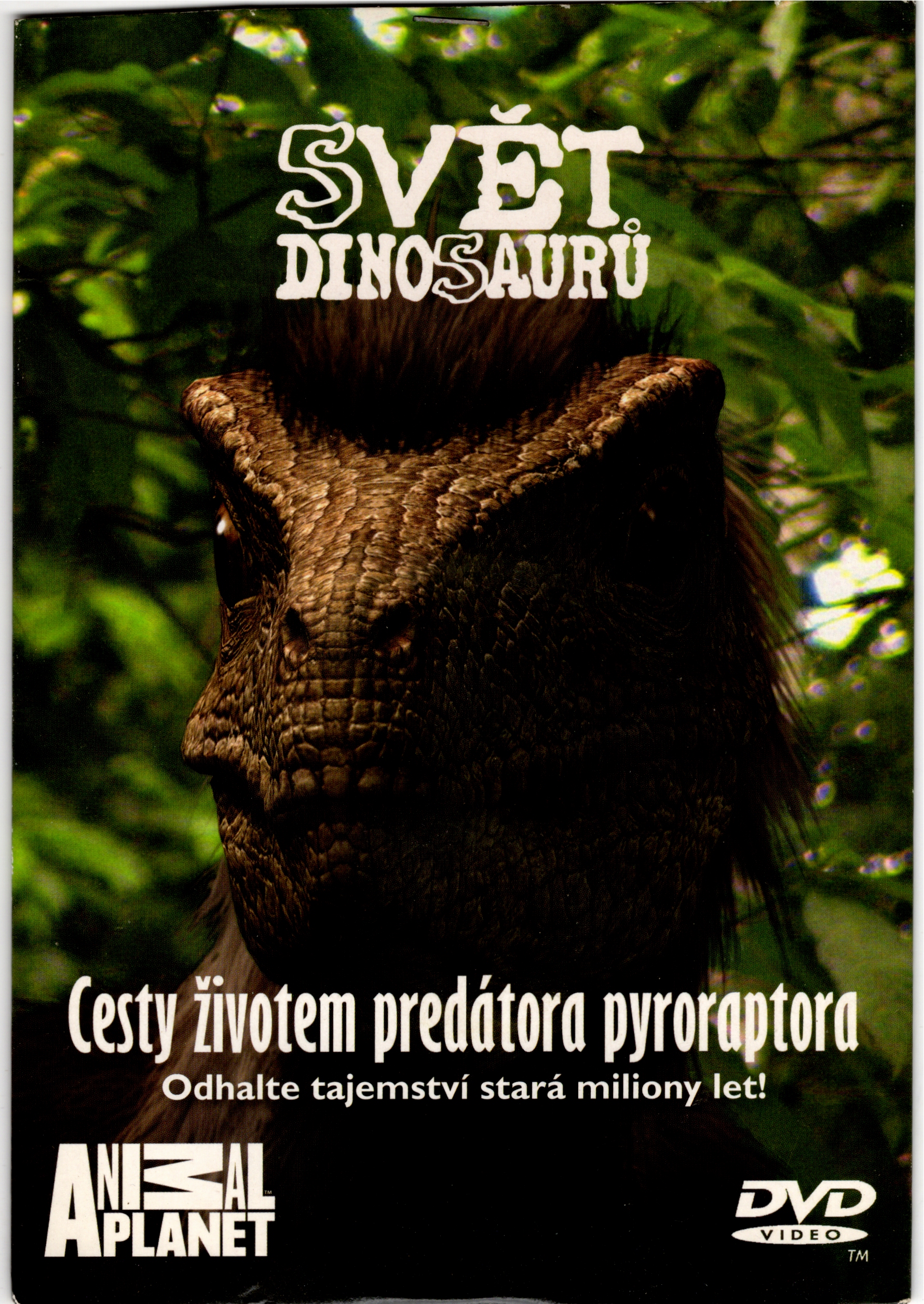 DVD SVĚT DINOSAURŮ