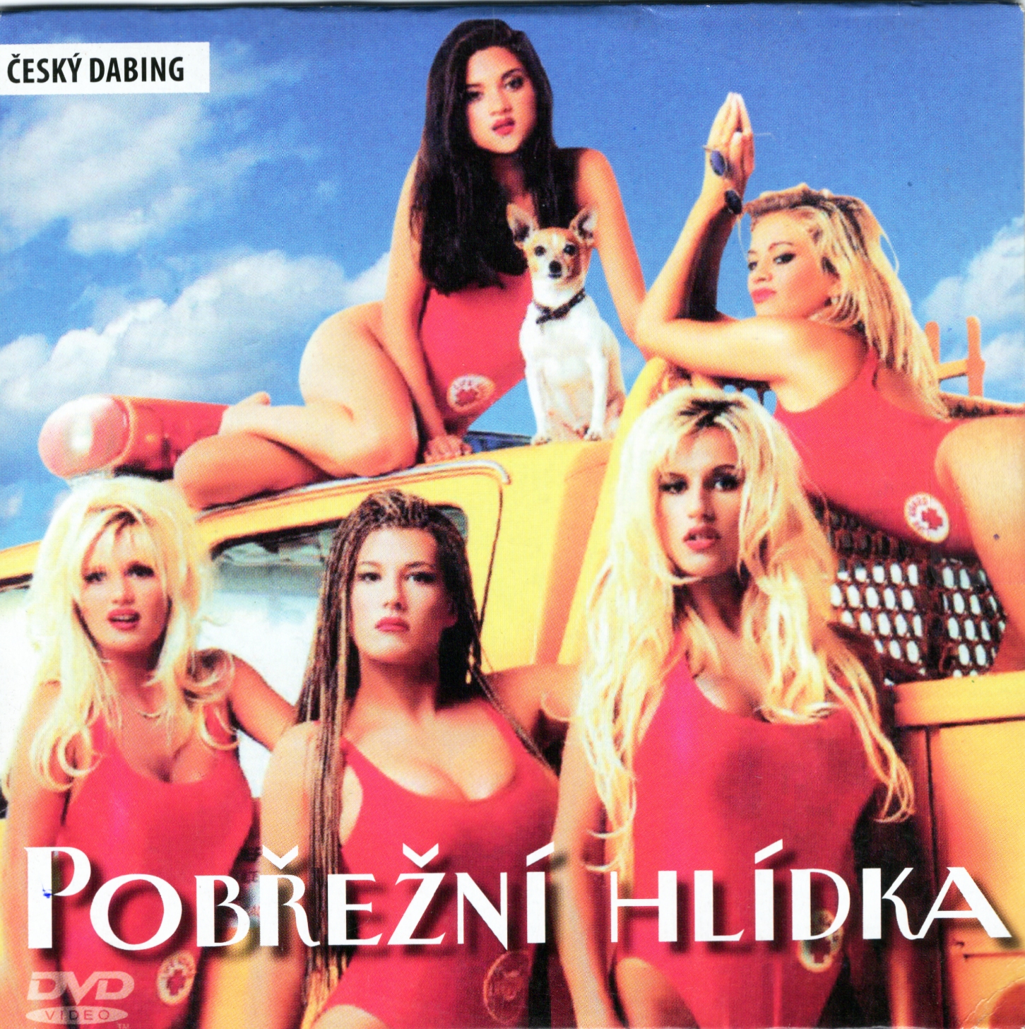DVD PORNO - POBŘEŽNÍ HLÍDKA