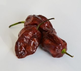 Tinktur - Chilli Tinktura - Paprička Trinidad Moruga Scorpion FORTE 10x 50 ml. 