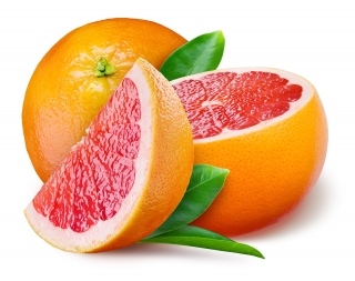 Tinktur - Mastička Grapefruit 3x 30ml - EXKLUSIV